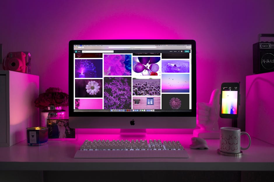 Webdesigner